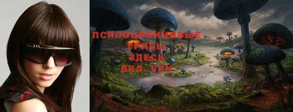 эйфоретик Саяногорск