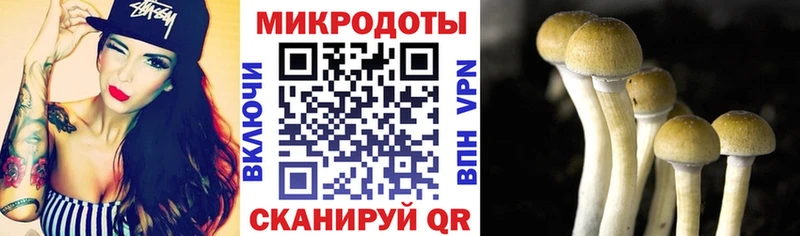 магазин продажи   Лихославль  Псилоцибиновые грибы Magic Shrooms 